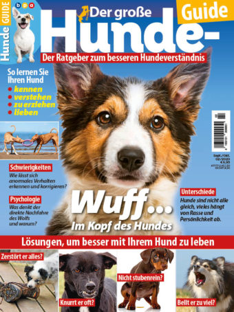 Der große Hunde-Guide: Im Kopf des Hundes – 02/2020