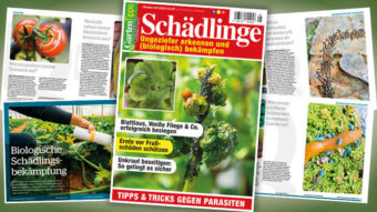 Garten-Tipps kompakt: Schädlinge – 05/2020