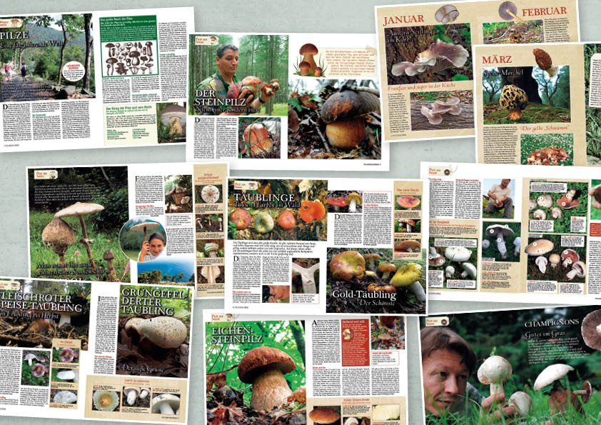 Garten-Tipps Spezial Enzyklopädie der Pilze – 03/2020