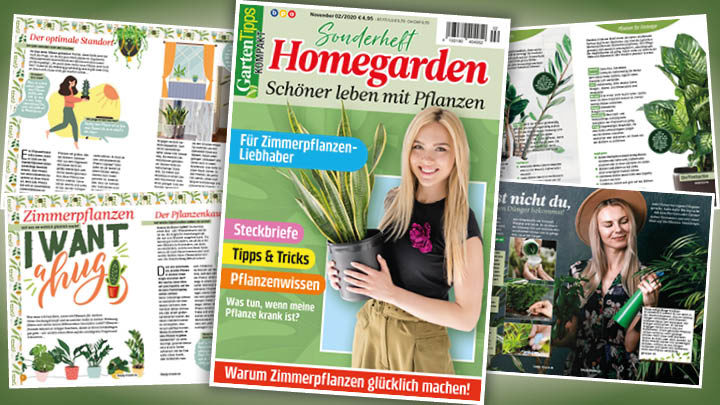 Garten-Tipps kompakt Sonderheft: Homegarden – 02/2020