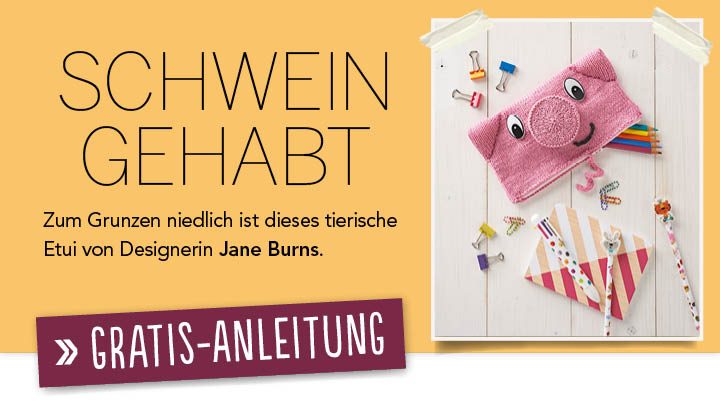 Newsletter Gratis Strickanleitung Schweinchen-Etui